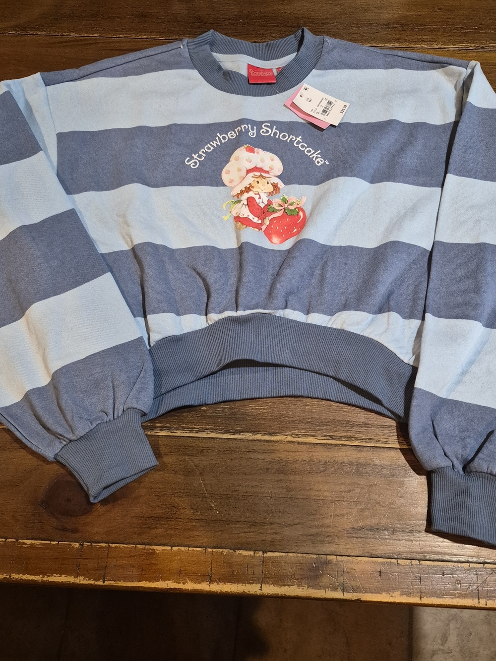 Strawberry Shortcake Cropped Striped Sweatshirt Blue XXS